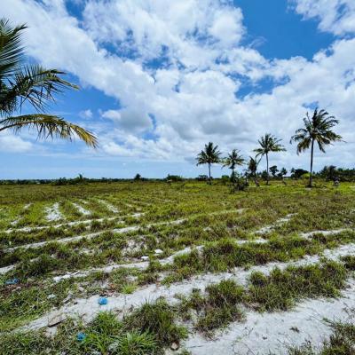 Plots for sale at Kigamboni, Dar Es Salaam