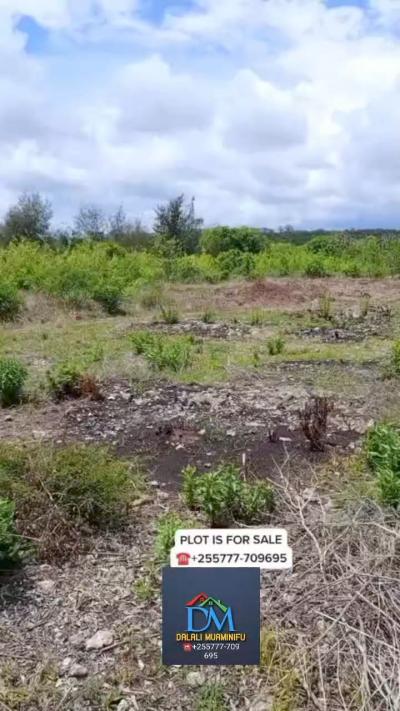 Plots for sale at Mchangani, Ruvuma