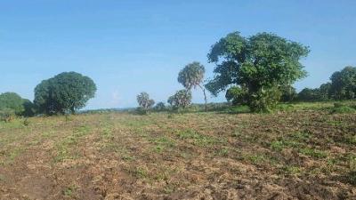 Plots for sale at Mbutu, Tabora