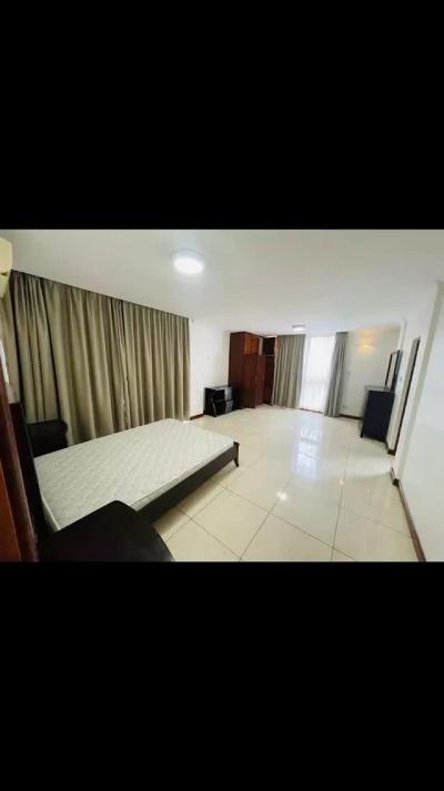 Nyumba/Apartment (Furnished) ya vyumba viwili inapangishwa Masaki, Pwani