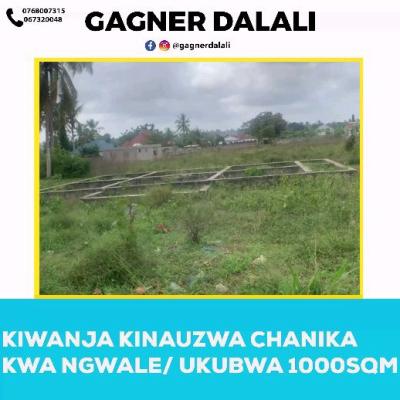 Plot for sale at Chanika, Dar Es Salaam