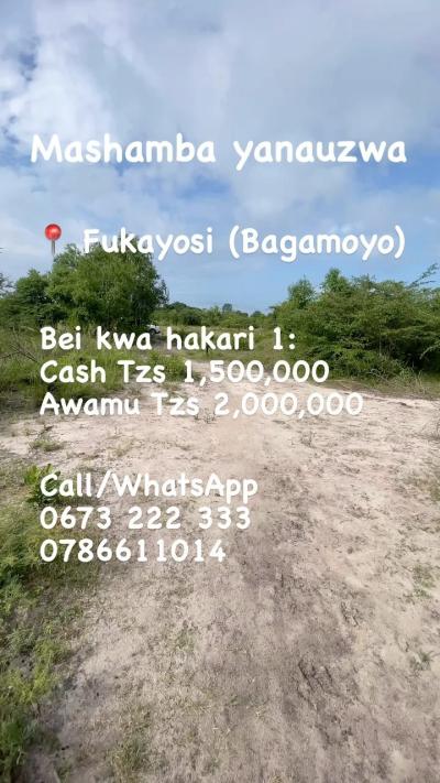 Farms for sale at Bagamoyo, Mbeya