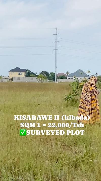 Plots for sale at Kisarawe Ii, Dar Es Salaam