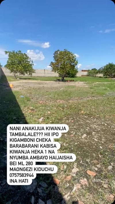 Plot for sale at Tambalale, Tabora