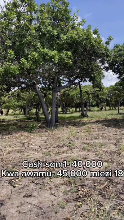 Plots for sale at Kigamboni, Dar Es Salaam