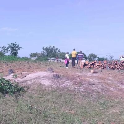 Plots for sale at Kisesa, Mwanza