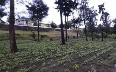 Plot for sale at Forest, Mbeya