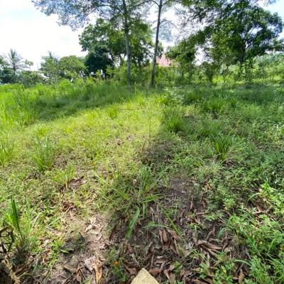 Plot for sale at Mbezi, Dar Es Salaam