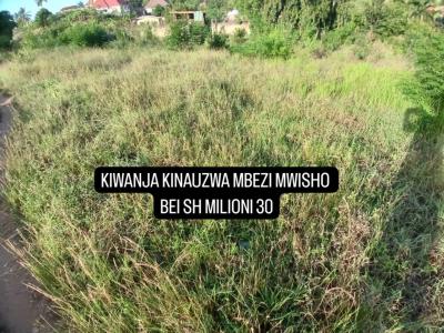 Plot for sale at Tambalale, Tabora