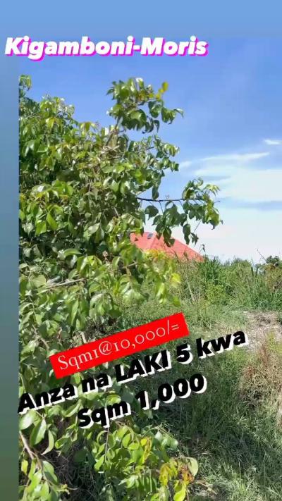 Plot for sale at Mchikichini, Dar Es Salaam