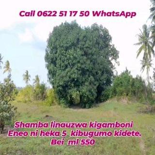 Farm for sale at Kigamboni, Dar Es Salaam