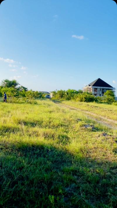 Plots for sale at Kigamboni, Dar Es Salaam