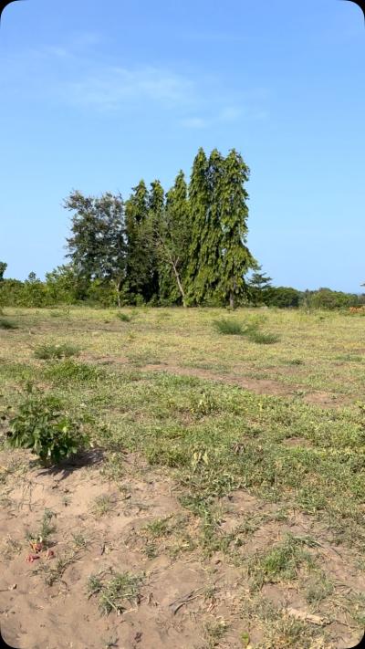 Plots for sale at Kigamboni, Dar Es Salaam