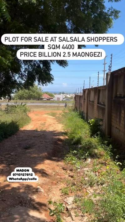 Plot for sale at Bagamoyo, Mbeya