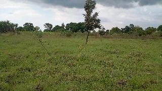 Plots for sale at Bagamoyo, Mbeya