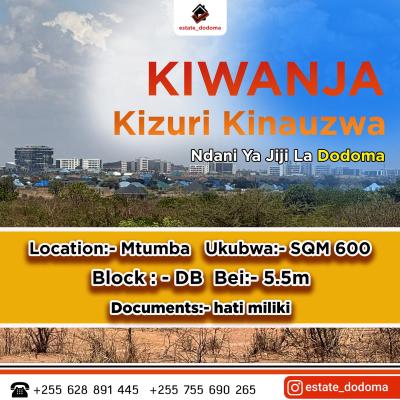 Kiwanja kinauzwa Mtumba, Dodoma