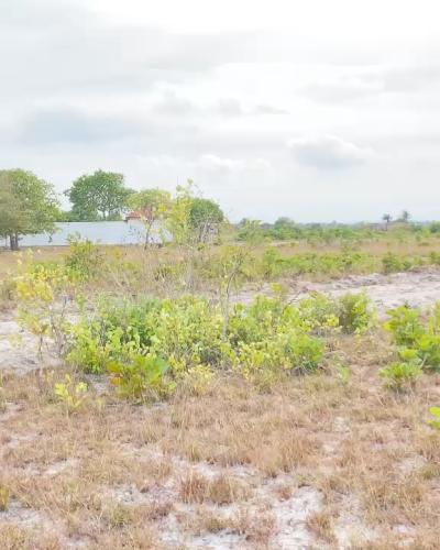 Plots for sale at Kigamboni, Dar Es Salaam