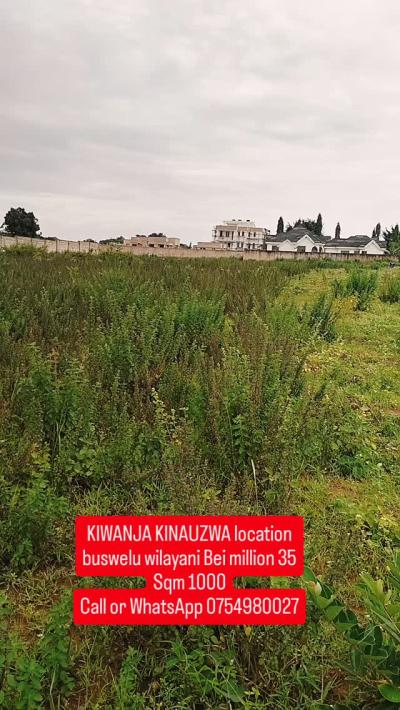 Plot for sale at Buswelu, Mwanza