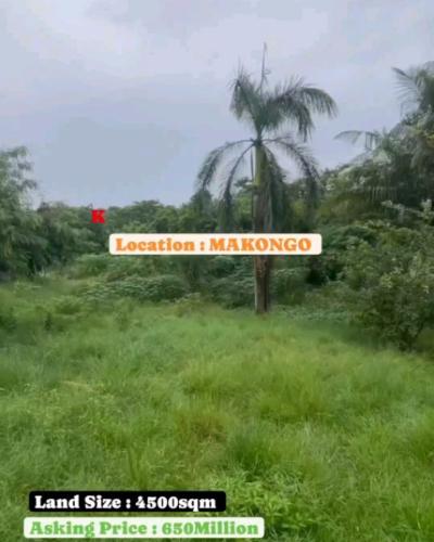 Plot for sale at Mlimani, Morogoro