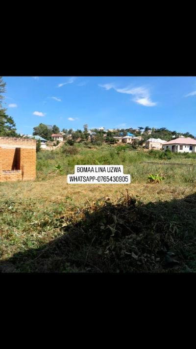 Plot for sale at Boma, Iringa