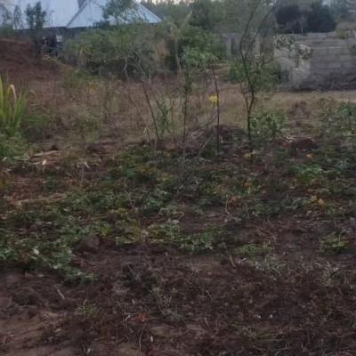 Plot for sale at Mkundi, Morogoro