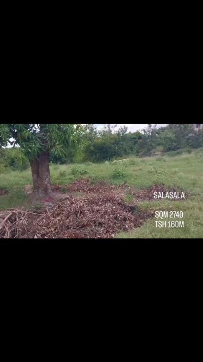 Plot for sale at Boma, Iringa