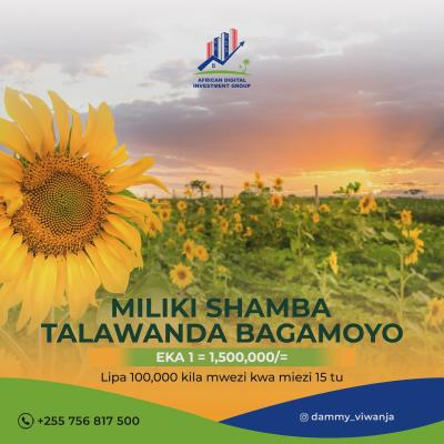 Plots for sale at Talawanda, Pwani