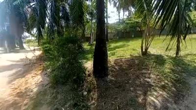 4 Bedrooms House for sale at Mbezi, Dar Es Salaam