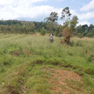 Plot for sale at Bukoba, Kagera