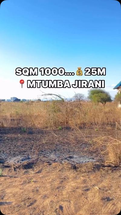 Plot for sale at Mtumba, Dodoma