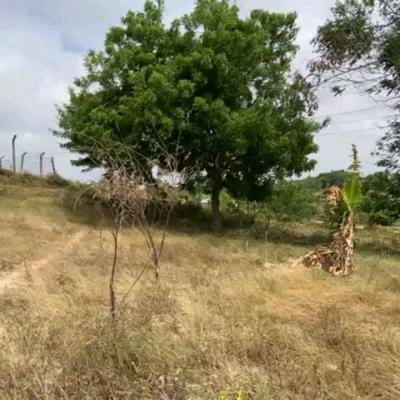 Plot for sale at Mbezi, Dar Es Salaam