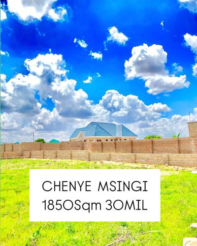 Plots for sale at Msingi, Singida