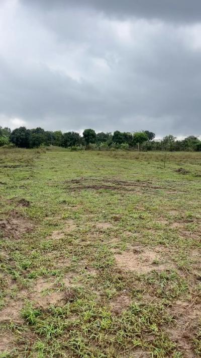 Plots for sale at Bagamoyo, Mbeya