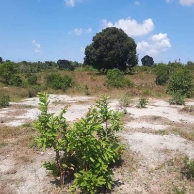 Plot for sale at Mawasiliano, Morogoro