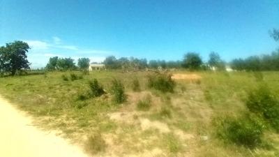 Plots for sale at Bweni, Tanga