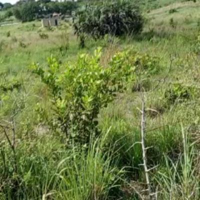 Plots for sale at Kibaha, Pwani