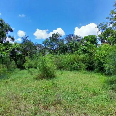 Farm for sale at Mjini, Ruvuma