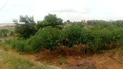 Plots for sale at Heka, Singida