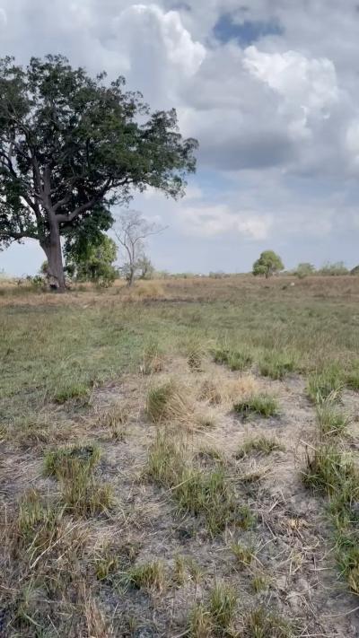 Plot for sale at Bagamoyo, Mbeya