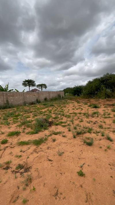 Plot for sale at Nzuguni, Dodoma