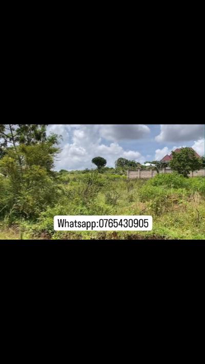 Plot for sale at Bugando, Mwanza