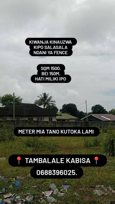 Plot for sale at Tambalale, Tabora