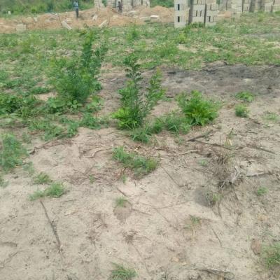 Plot for sale at Mlandizi, Pwani