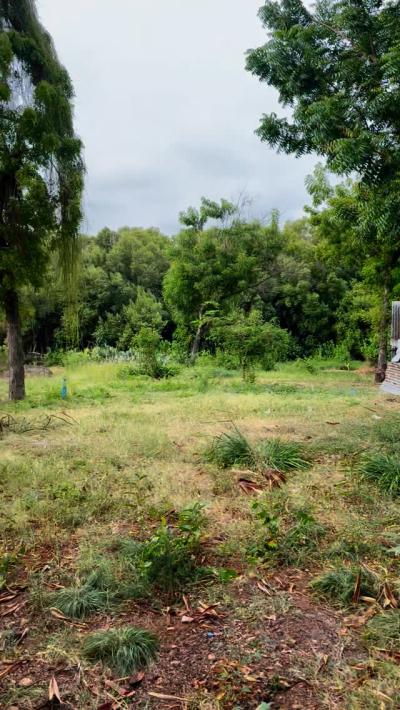 Plot for sale at Jangwani, Dar Es Salaam