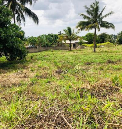 Plots for sale at Mbutu, Tabora