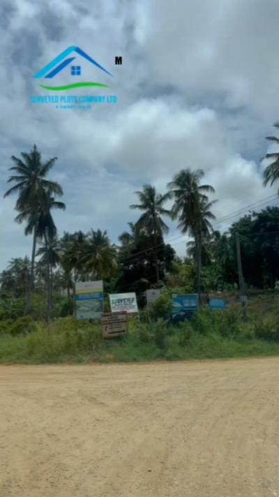 Viwanja vinauzwa Buyuni, Dar Es Salaam