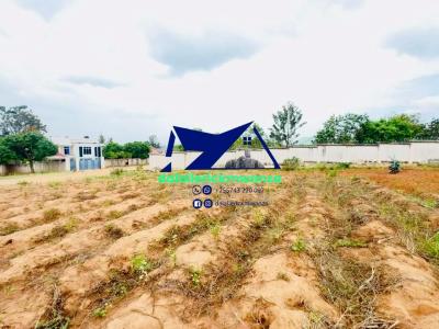 Plot for sale at Nyasaka, Mwanza