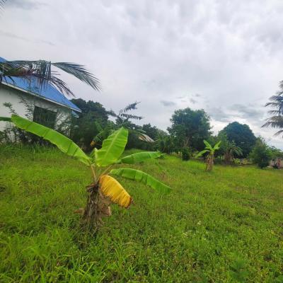 Viwanja vinauzwa Kisima, Kilimanjaro