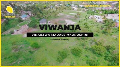 Plot for sale at Mawasiliano, Morogoro