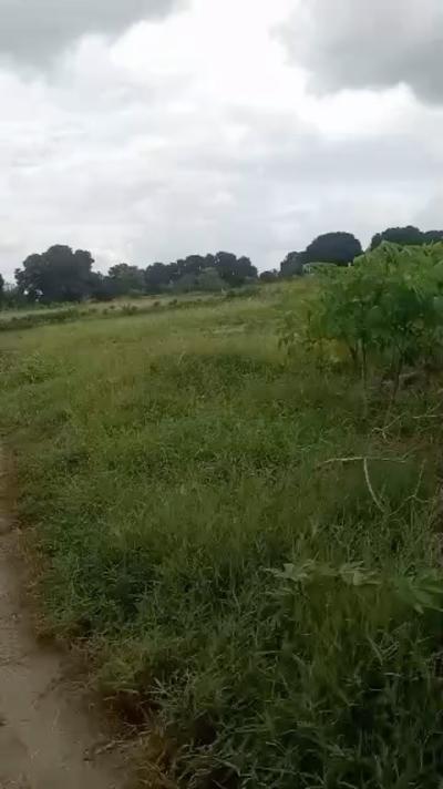 Farm for sale at Bagamoyo, Mbeya